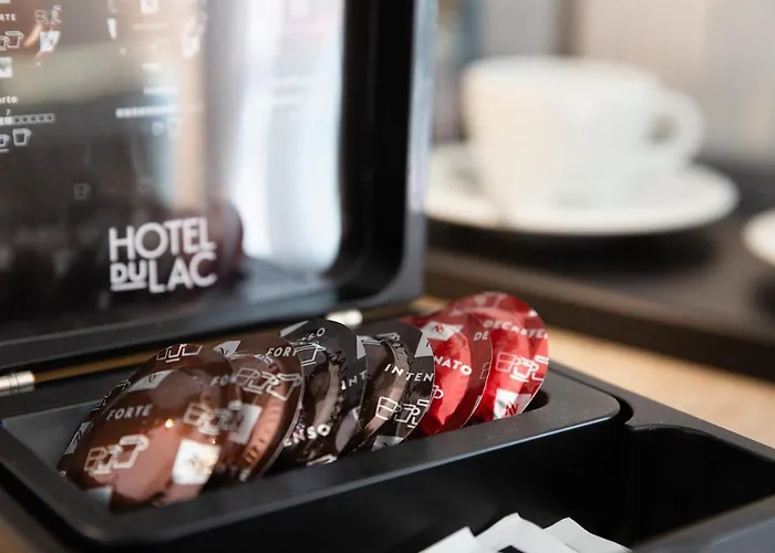 호텔 Du 로카르노